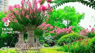 Beautiful View 34