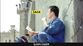 Ye Ladka Akela Puri Gang Par Bhari He ( SUNFLOWER Movie Explained in Hindi Urdu