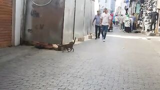 Morocco: Bustling in one side, silent in the other.