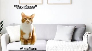 Showing my dance to grandma