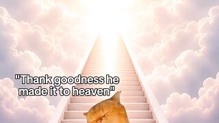 When you want to go to heaven but you have best friends☠️