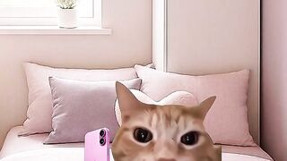 Unemployed me sending every reel I see to my friend 🤣📱