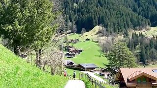 Kashmir beauti