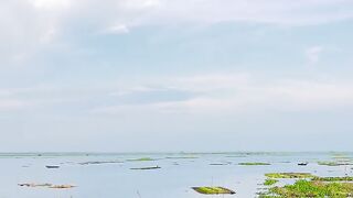 The peaceful embrace of nature and the soothing serenity of the river… a moment that truly refreshes the soul. 🌊🛶✨