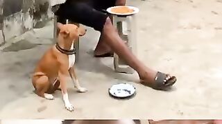 Die alone baba