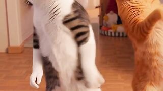 Dancing Cats 😹🐱 | These Cats Really Know How to Dance!