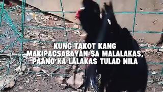 Quotes 90
