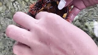 MANAYOM