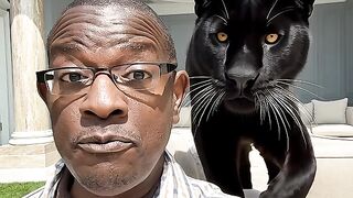 Cherry The Puma