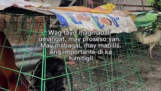 Qoutes 30