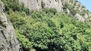 Beautiful nature 347