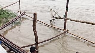 A Fisherman Casting His Net Beside the Padma River 🎣🌊✨