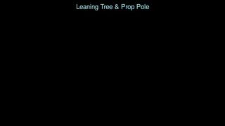 Leaning tree & prop pole