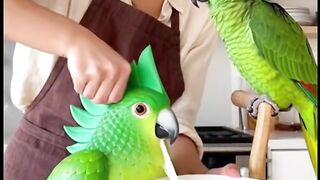 HAHAHA! Cutting Cake in Front of My Parrot 😂🦜 | Funny Parrot Reaction