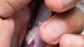 TELAT sedikit lele mati masal❗Waspada dengan penyakit ini