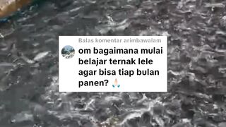 PEMULA Jangan pasang target tinggi