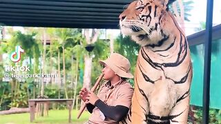 Lion Enjoy Music