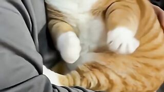She Refused to Give Up Her Monkey! 🐒 | Funniest Cat Moment Ever 🤣🔥