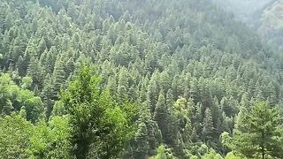 Kashmir beauti 3