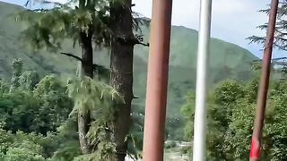 Kashmir villy 2