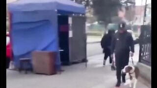 Fidélité