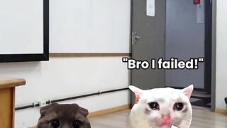 That's why we are besties😁