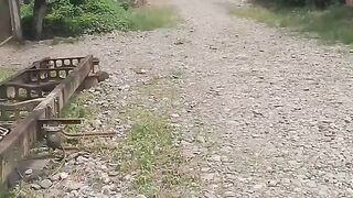 Vida en campo