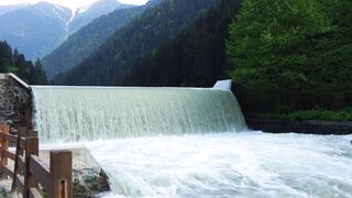 Nature Vodeo