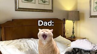Every Dad's Morning Routine be like Follow catmemesshorts for more reels