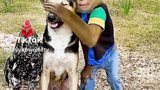 Play mates