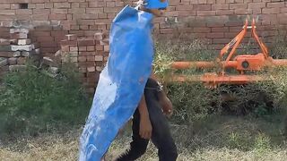 🤣🤣Krish 4🤣🤣_shorts _shortvideo _funny _comedy _viral