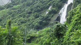 Beautiful nature view 🌿💚