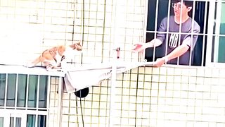 These Brave Heroes Risked Everything To Save Animals In Need! 😭❤️ #CatRescue #FaithInHumanity