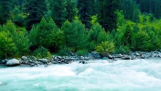 Kashmir villy 4