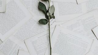 Poema Nocturno