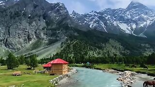 Kashmir villy 5