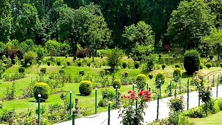 Nature beauty 25