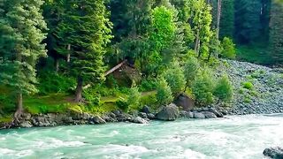 Kashmir villy 6