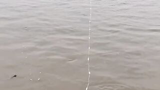 Documenting My Fishing Life 🎣 | Peaceful Fishing Adventure