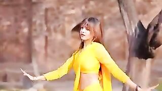 Bhojpuri song dance.. yo yo honey Singh