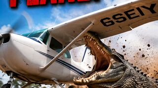 Giant Crocodile Attacked Their Plane..But They Escaped!🐊✈️#movieclips #usashorts  #hollywoodmovies
