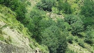 Kashmir beauti 6