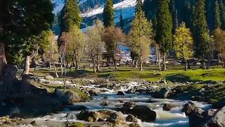 Kashmir beauti 7