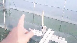Signs that catfish have problems