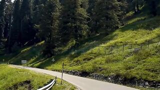 Kashmir beauti 8