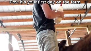 Funny videos ?????????????