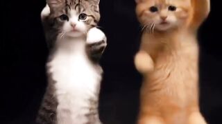 😼 When an AI Cat Becomes the CEO! 😂💼 | The Digital CEO Empire