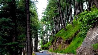 Kashmir beauti 9