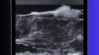 Kamera Dipasang di Sirip Hiu… 😱🦈