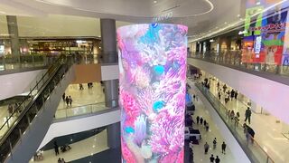 Colorful Underwater Aquarium Display